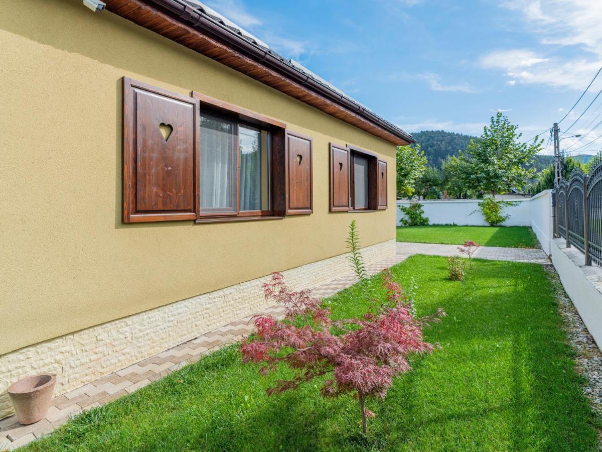 Hotel Casa Saraste Rîşnov Exterior foto